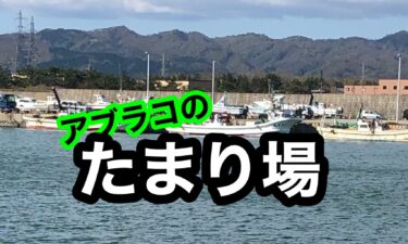 北海道の釣りで 効率良くアブラコ アイナメ のたまり場をリサーチするポイント