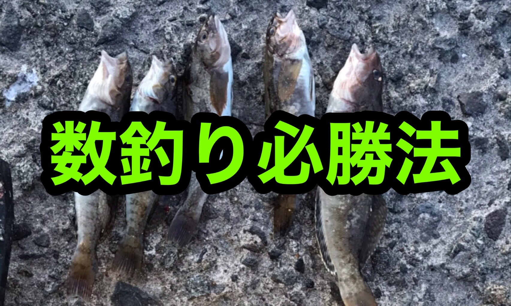 アブラコ ショートバイトが多い日でも数釣りする方法 北海道