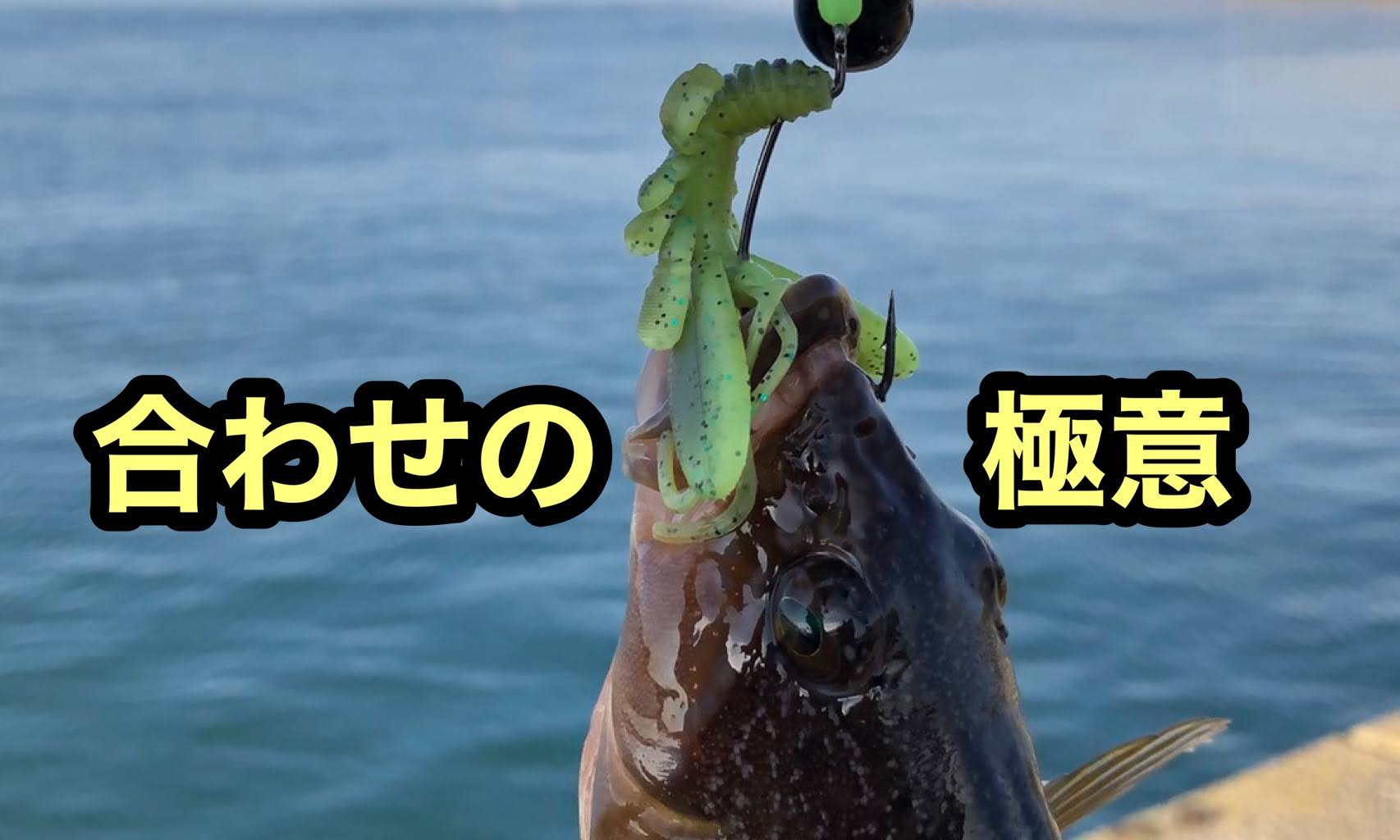 北海道 アブラコ釣りのフッキングのコツを伝授 釣果アップの秘訣