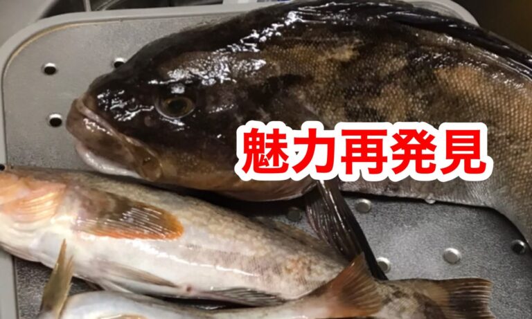 魅力再発見