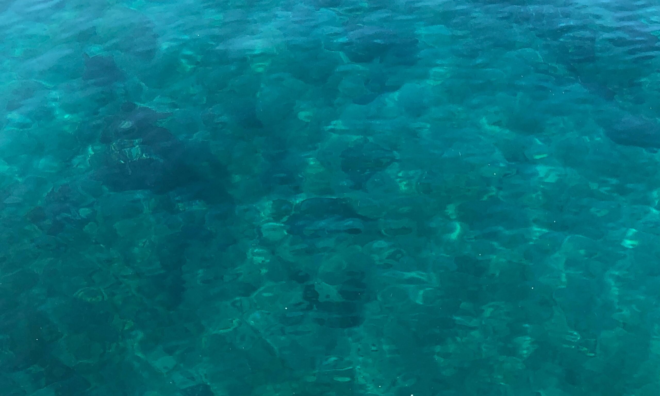 熊石漁港海透明度