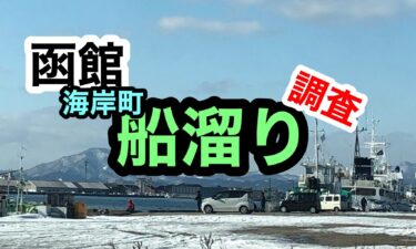 函館港海岸町船溜まり釣り調査2021年1月23日