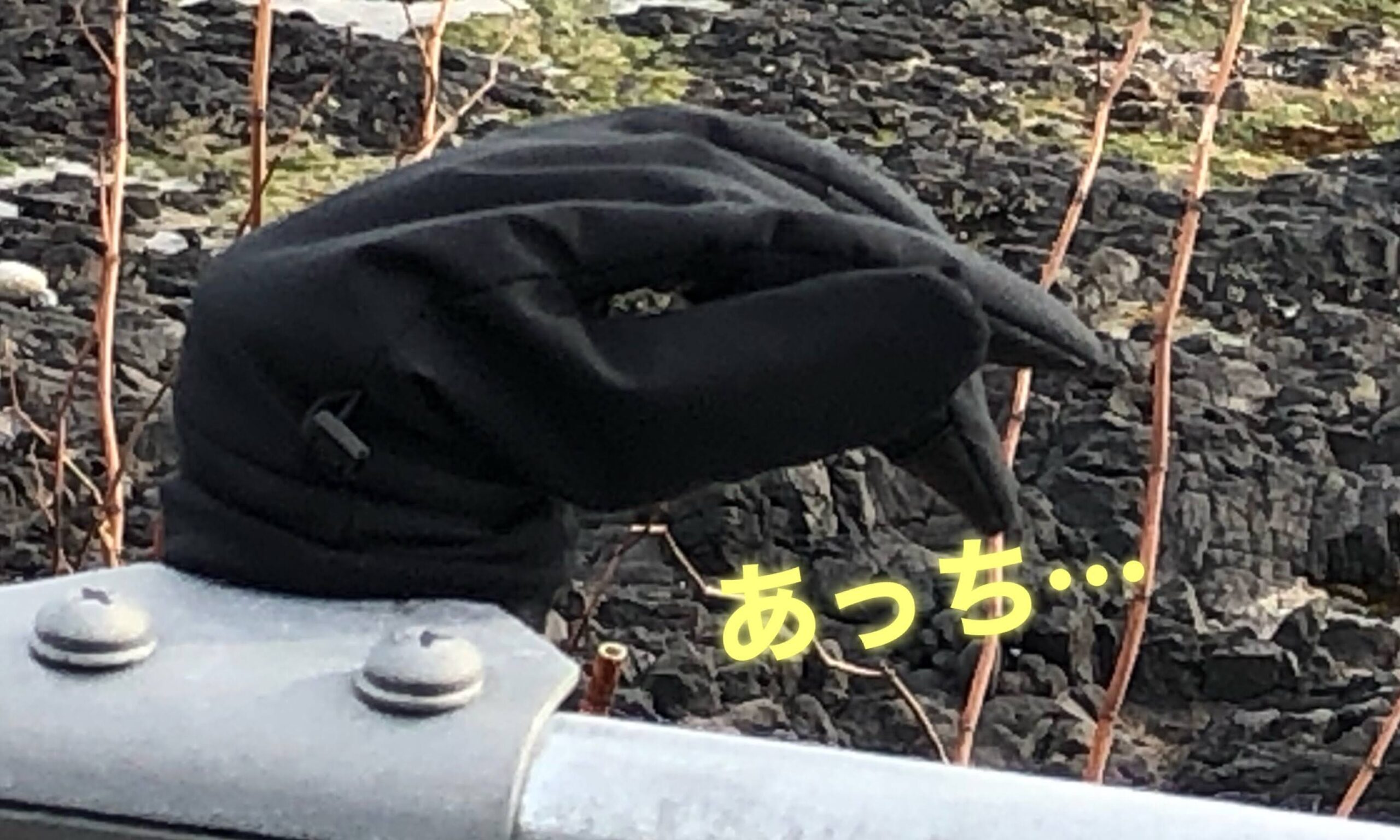 熊石のサーフでサクラマス釣り修行
