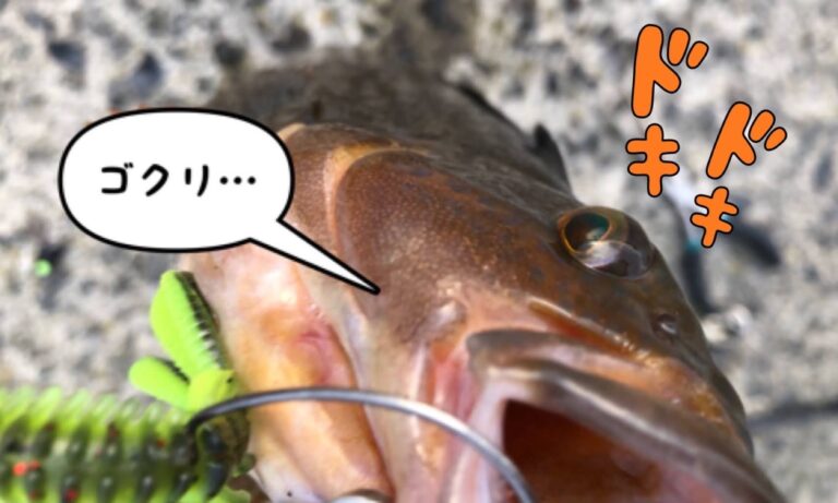 21年5月 Delight Hokkaido