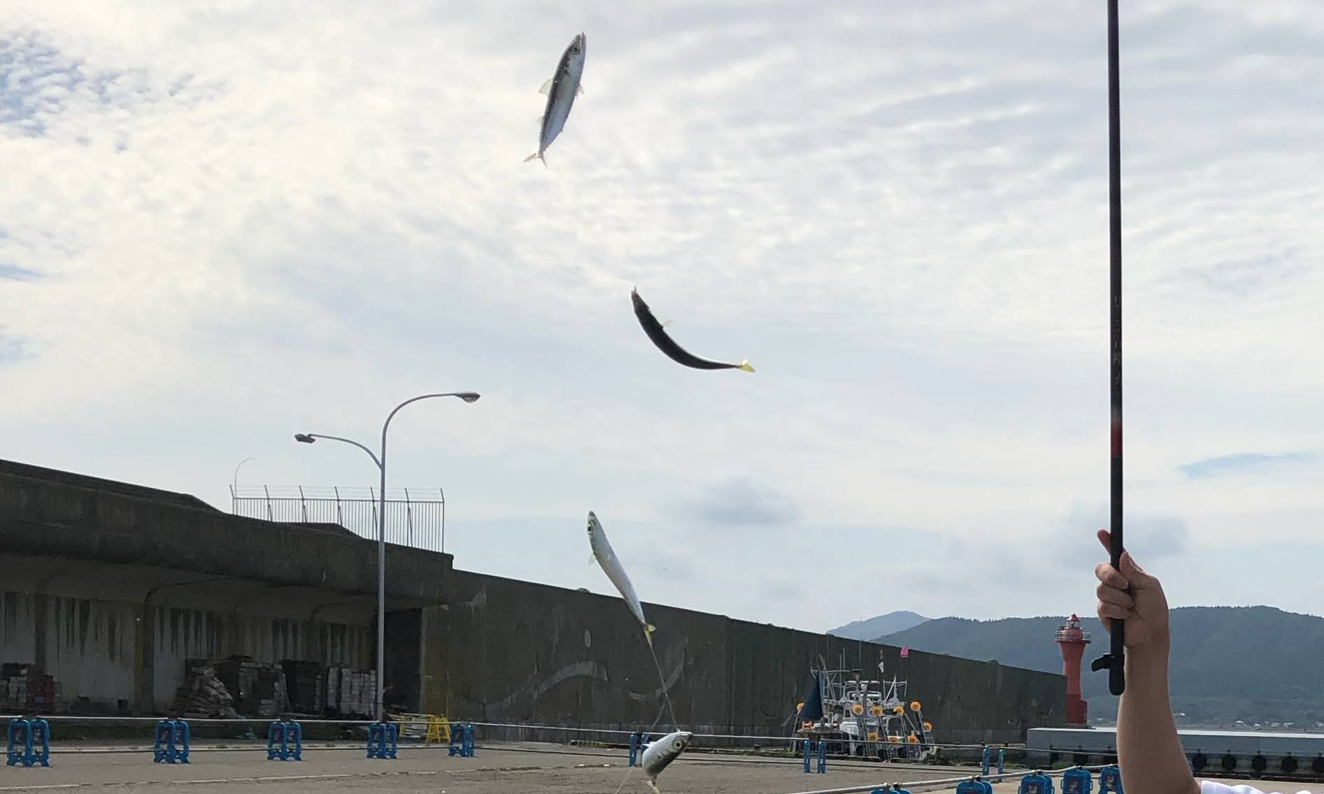 恵山漁港 サバ釣り サビキ 2021年