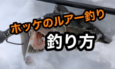 ホッケのルアー釣りの釣り方【北海道】